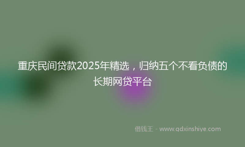 重庆民间贷款2025年精选，归纳五个不看负债的长期网贷平台