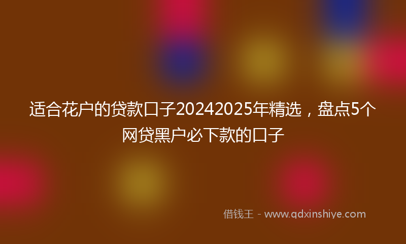 适合花户的贷款口子20242025年精选，盘点5个网贷黑户必下款的口子