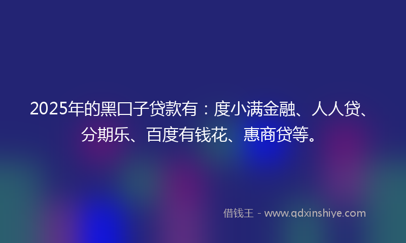 2025年的黑囗子贷款有：度小满金融、人人贷、分期乐、百度有钱花、惠商贷等。