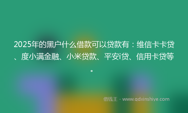 2025年的黑户什么借款可以贷款有：维信卡卡贷、度小满金融、小米贷款、平安i贷、信用卡贷等。