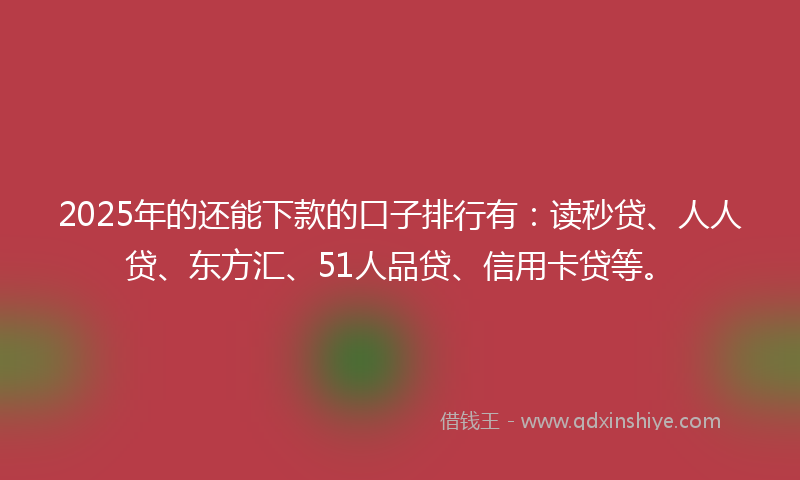 2025年的还能下款的口子排行有：读秒贷、人人贷、东方汇、51人品贷、信用卡贷等。