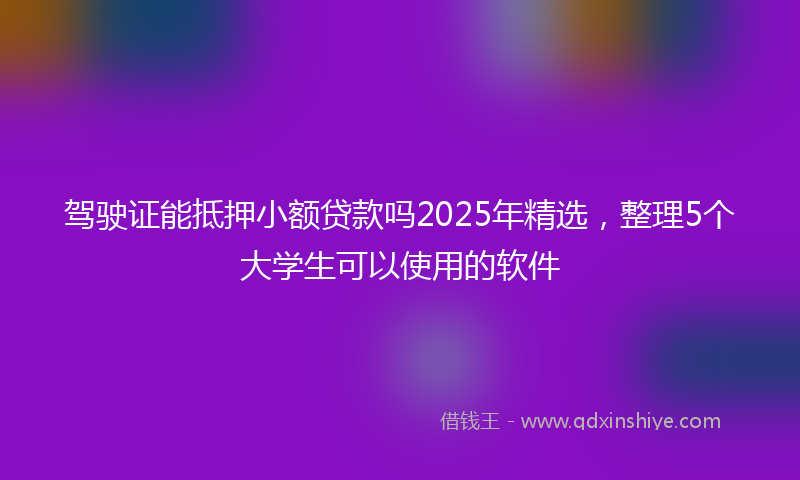 驾驶证能抵押小额贷款吗2025年精选，整理5个大学生可以使用的软件
