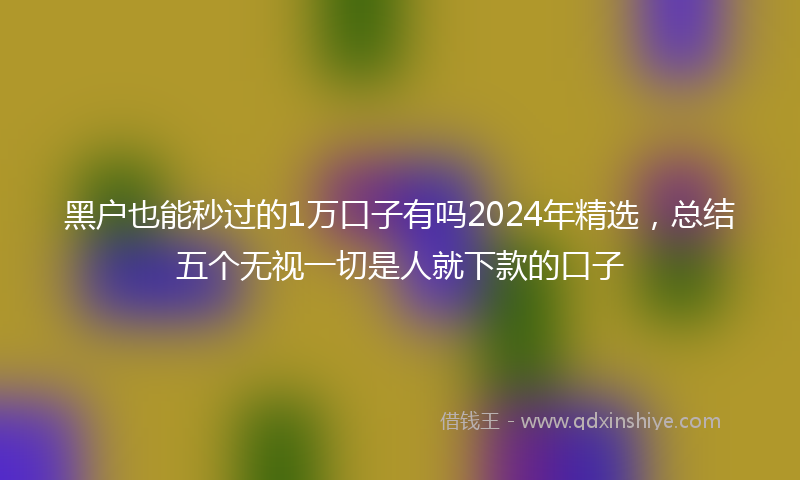 黑户也能秒过的1万口子有吗2024年精选，总结五个无视一切是人就下款的口子