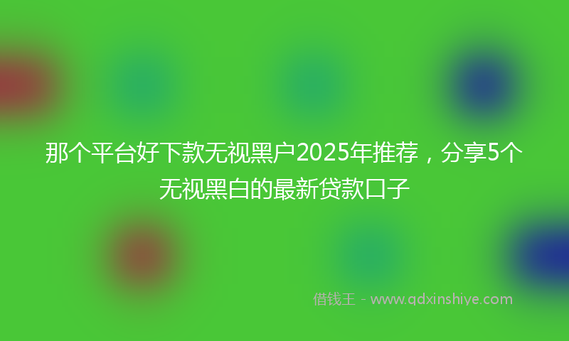 那个平台好下款无视黑户2025年推荐，分享5个无视黑白的最新贷款口子