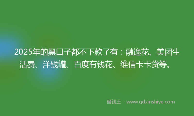 2025年的黑口子都不下款了有：融逸花、美团生活费、洋钱罐、百度有钱花、维信卡卡贷等。