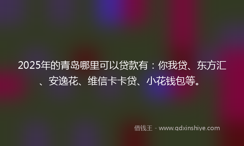 2025年的青岛哪里可以贷款有：你我贷、东方汇、安逸花、维信卡卡贷、小花钱包等。