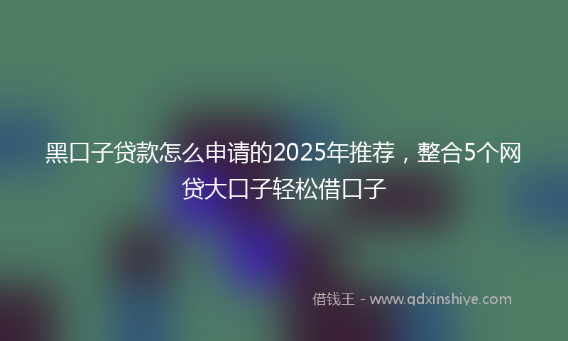 黑口子贷款怎么申请的2025年推荐，整合5个网贷大口子轻松借口子