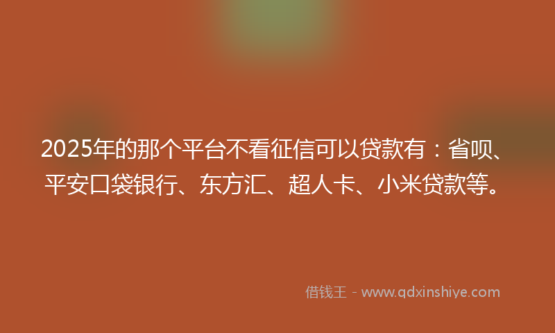2025年的那个平台不看征信可以贷款有：省呗、平安口袋银行、东方汇、超人卡、小米贷款等。