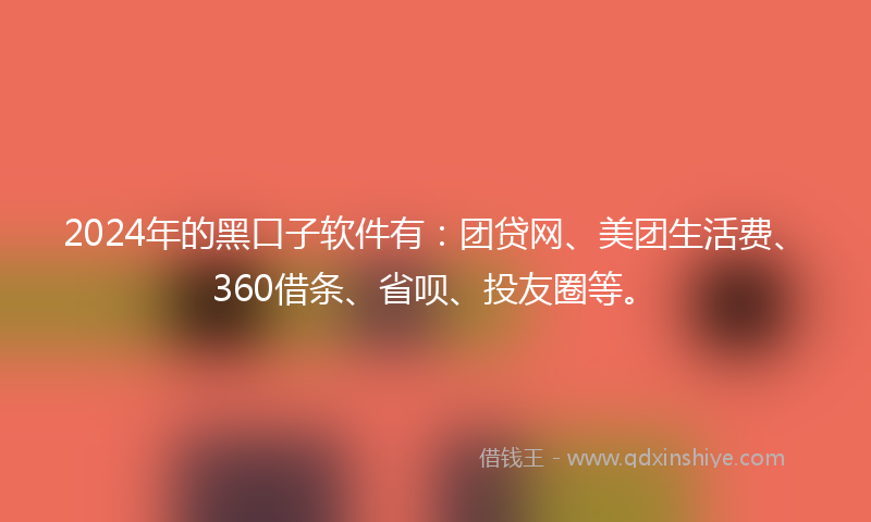2024年的黑口子软件有：团贷网、美团生活费、360借条、省呗、投友圈等。