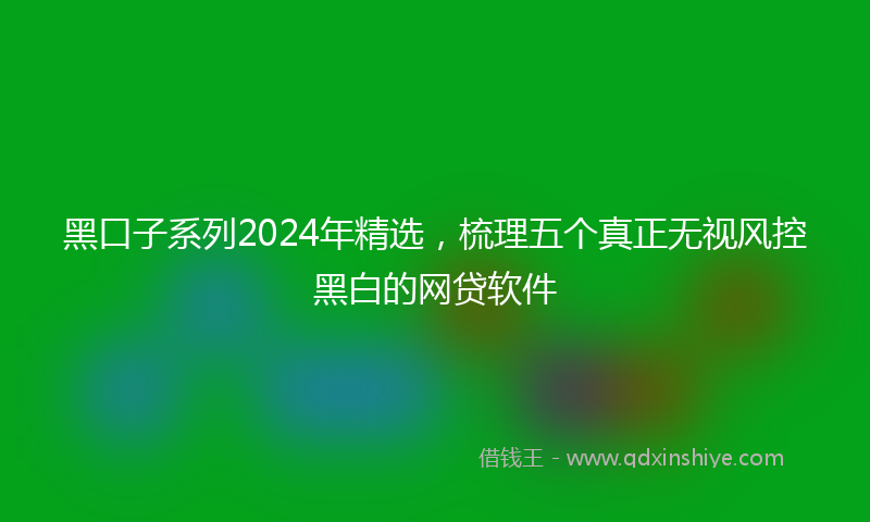 黑口子系列2024年精选，梳理五个真正无视风控黑白的网贷软件