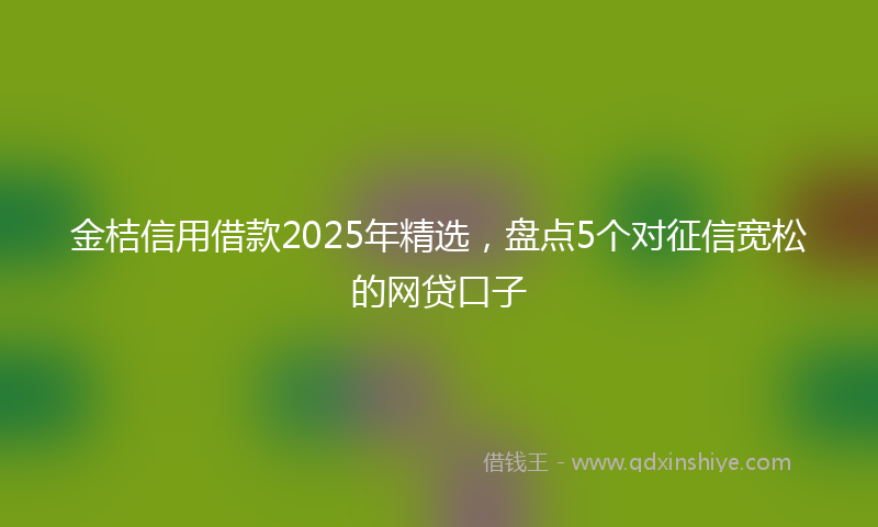 金桔信用借款2025年精选，盘点5个对征信宽松的网贷口子
