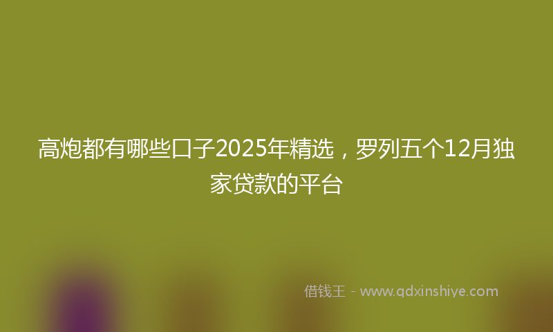 高炮都有哪些口子2025年精选，罗列五个12月独家贷款的平台