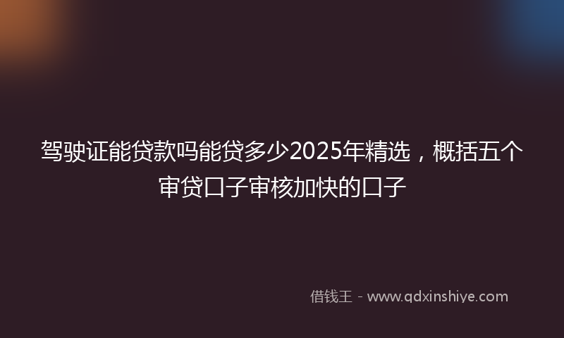 驾驶证能贷款吗能贷多少2025年精选，概括五个审贷口子审核加快的口子