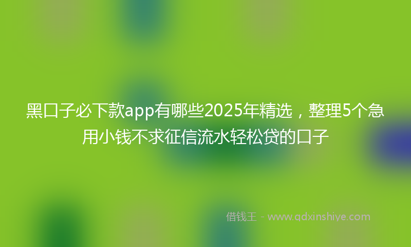 黑口子必下款app有哪些2025年精选，整理5个急用小钱不求征信流水轻松贷的口子