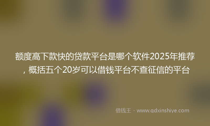 额度高下款快的贷款平台是哪个软件2025年推荐，概括五个20岁可以借钱平台不查征信的平台