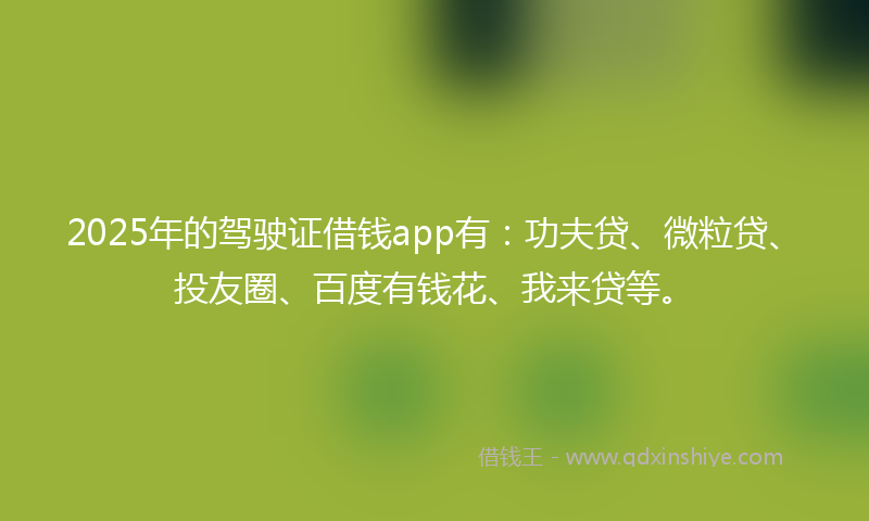 2025年的驾驶证借钱app有：功夫贷、微粒贷、投友圈、百度有钱花、我来贷等。