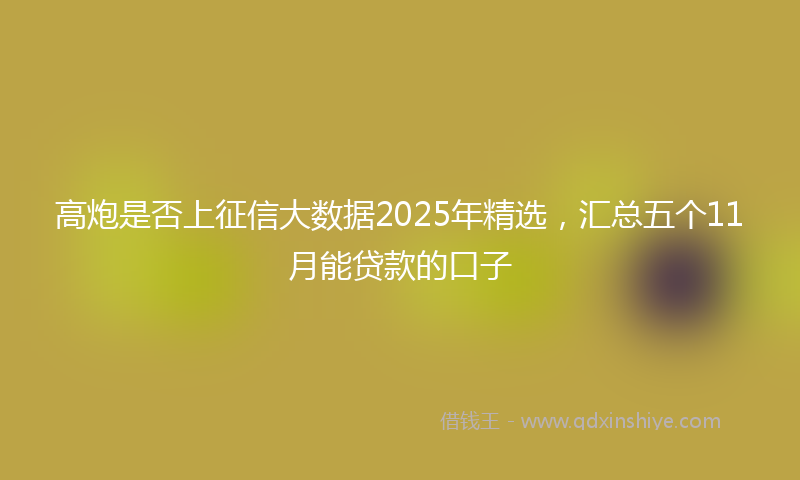 高炮是否上征信大数据2025年精选，汇总五个11月能贷款的口子