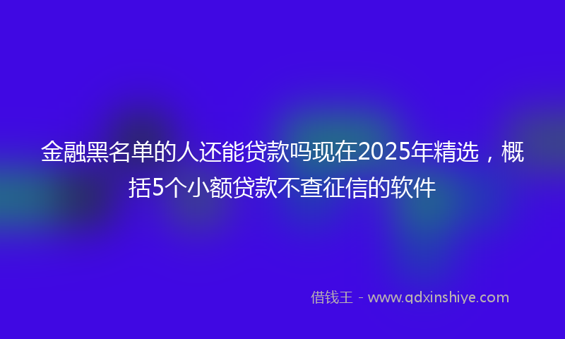 金融黑名单的人还能贷款吗现在2025年精选，概括5个小额贷款不查征信的软件