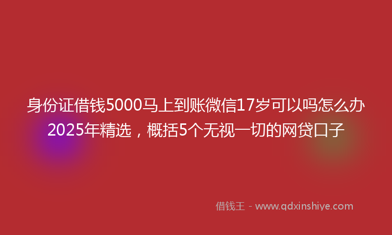 身份证借钱5000马上到账微信17岁可以吗怎么办2025年精选，概括5个无视一切的网贷口子