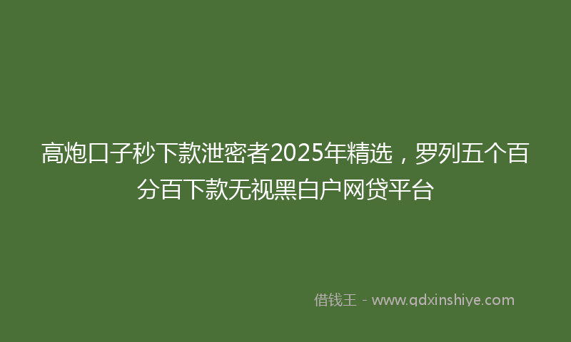 高炮口子秒下款泄密者2025年精选，罗列五个百分百下款无视黑白户网贷平台