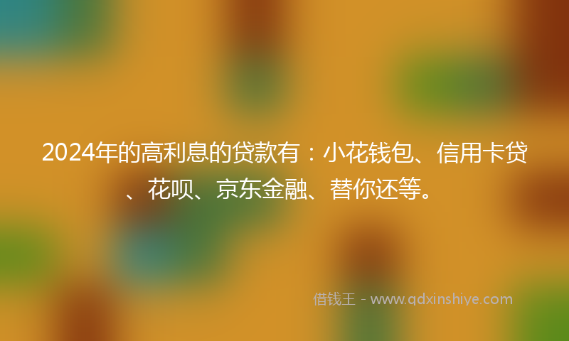 2024年的高利息的贷款有：小花钱包、信用卡贷、花呗、京东金融、替你还等。