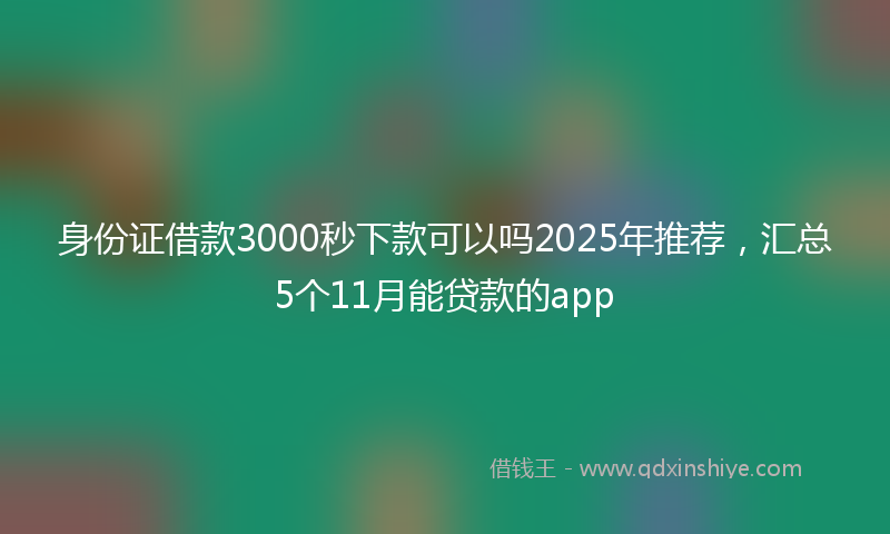 身份证借款3000秒下款可以吗2025年推荐，汇总5个11月能贷款的app