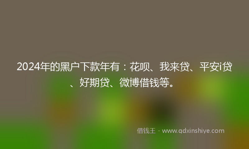 2024年的黑户下款年有：花呗、我来贷、平安i贷、好期贷、微博借钱等。
