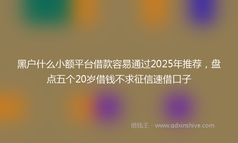 黑户什么小额平台借款容易通过2025年推荐，盘点五个20岁借钱不求征信速借口子