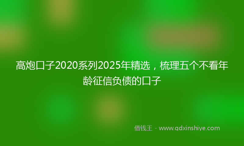 高炮口子2020系列2025年精选，梳理五个不看年龄征信负债的口子