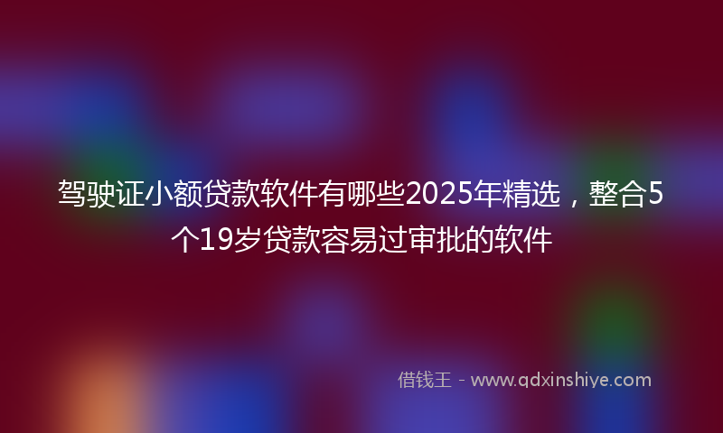 驾驶证小额贷款软件有哪些2025年精选，整合5个19岁贷款容易过审批的软件