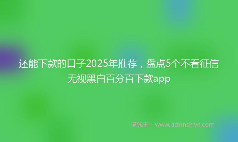 还能下款的口子2025年推荐，盘点5个不看征信无视黑白百分百下款app