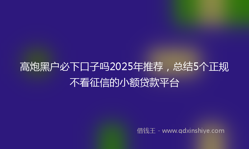 高炮黑户必下口子吗2025年推荐，总结5个正规不看征信的小额贷款平台