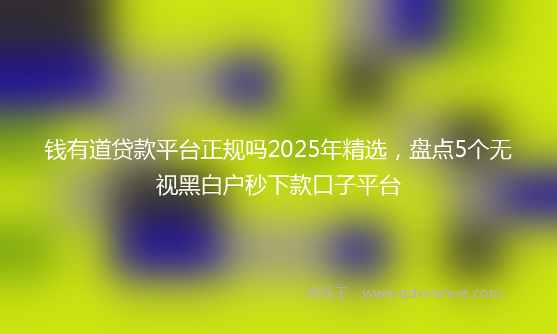 钱有道贷款平台正规吗2025年精选，盘点5个无视黑白户秒下款口子平台
