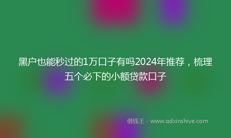 黑户也能秒过的1万口子有吗2024年推荐，梳理五个必下的小额贷款口子