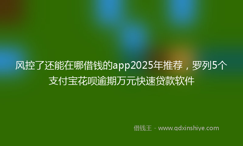 风控了还能在哪借钱的app2025年推荐，罗列5个支付宝花呗逾期万元快速贷款软件