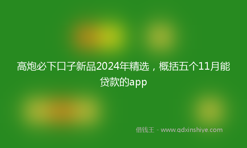 高炮必下口子新品2024年精选，概括五个11月能贷款的app