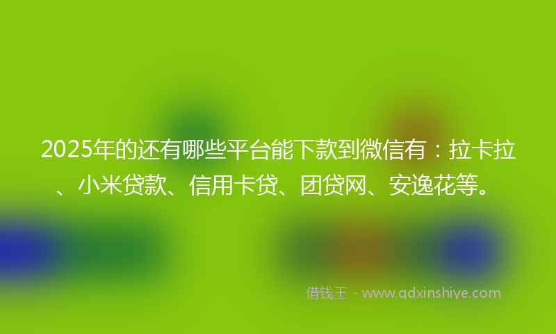 2025年的还有哪些平台能下款到微信有：拉卡拉、小米贷款、信用卡贷、团贷网、安逸花等。