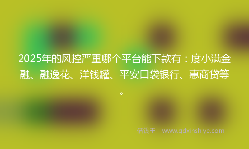 2025年的风控严重哪个平台能下款有：度小满金融、融逸花、洋钱罐、平安口袋银行、惠商贷等。