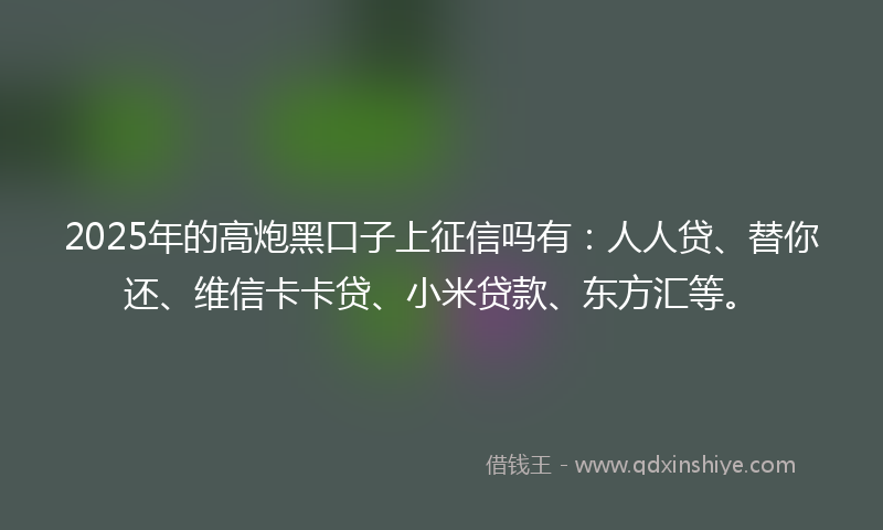 2025年的高炮黑口子上征信吗有：人人贷、替你还、维信卡卡贷、小米贷款、东方汇等。
