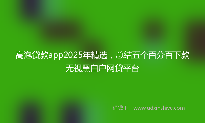 高泡贷款app2025年精选，总结五个百分百下款无视黑白户网贷平台