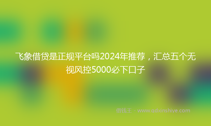 飞象借贷是正规平台吗2024年推荐，汇总五个无视风控5000必下口子