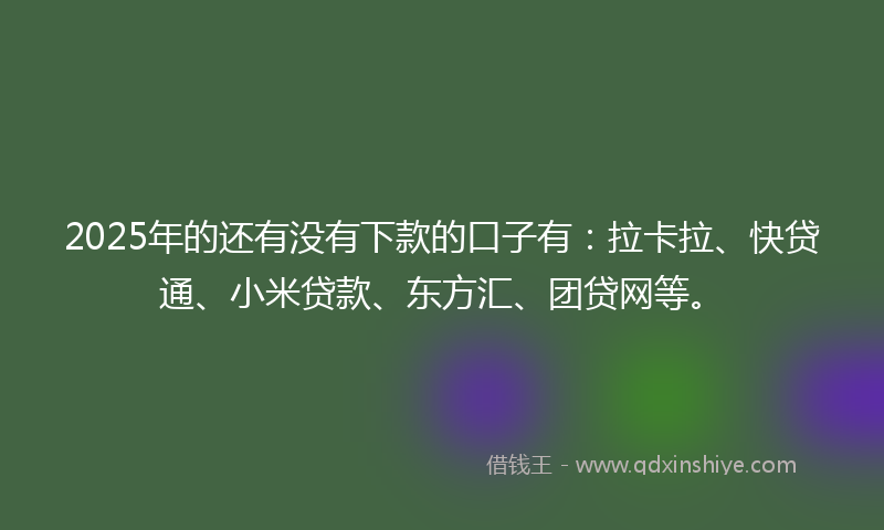 2025年的还有没有下款的口子有：拉卡拉、快贷通、小米贷款、东方汇、团贷网等。
