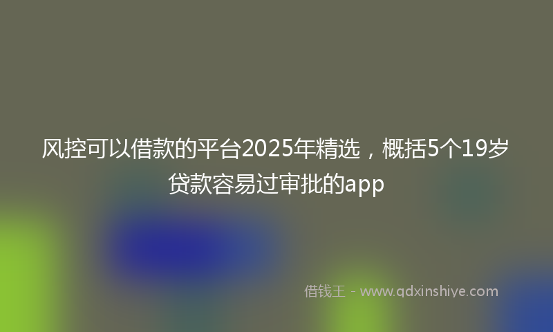 风控可以借款的平台2025年精选，概括5个19岁贷款容易过审批的app