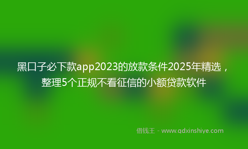 黑口子必下款app2023的放款条件2025年精选，整理5个正规不看征信的小额贷款软件