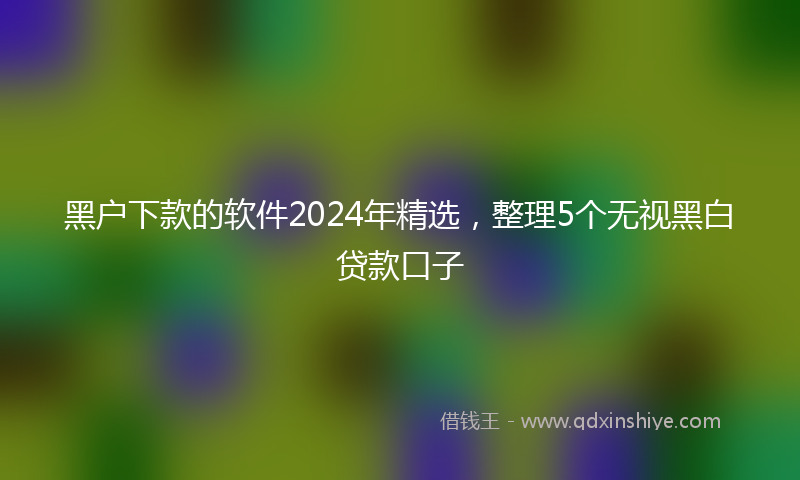 黑户下款的软件2024年精选，整理5个无视黑白贷款口子
