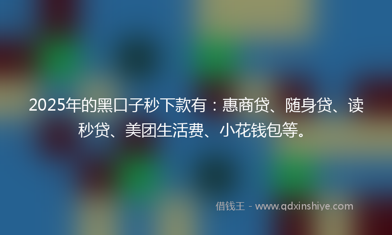 2025年的黑口子秒下款有：惠商贷、随身贷、读秒贷、美团生活费、小花钱包等。
