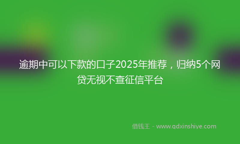 逾期中可以下款的口子2025年推荐，归纳5个网贷无视不查征信平台