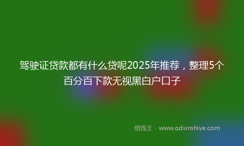 驾驶证贷款都有什么贷呢2025年推荐，整理5个百分百下款无视黑白户口子