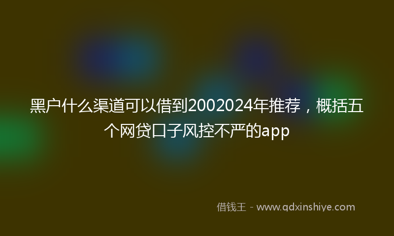 黑户什么渠道可以借到2002024年推荐，概括五个网贷口子风控不严的app