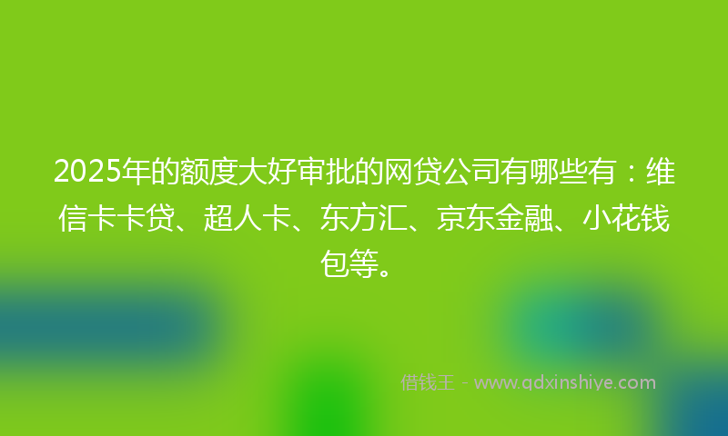 2025年的额度大好审批的网贷公司有哪些有：维信卡卡贷、超人卡、东方汇、京东金融、小花钱包等。